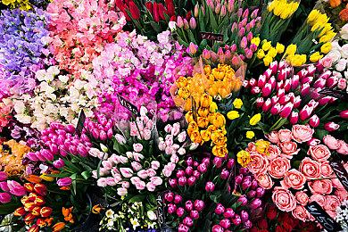 万代申请新版《Love Live!》商标 或为新游戏策划